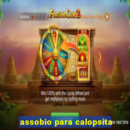 assobio para calopsita